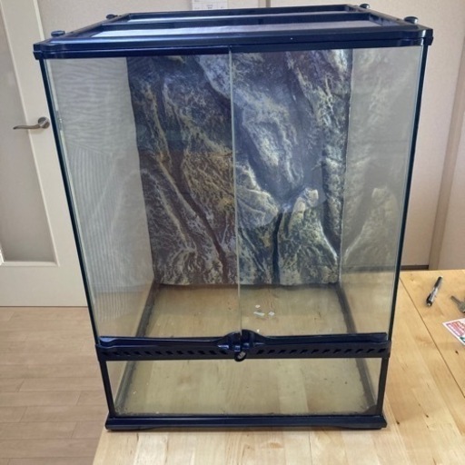 グラステリア4660