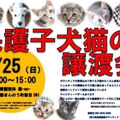 9/25💠譲渡会を開催します💠