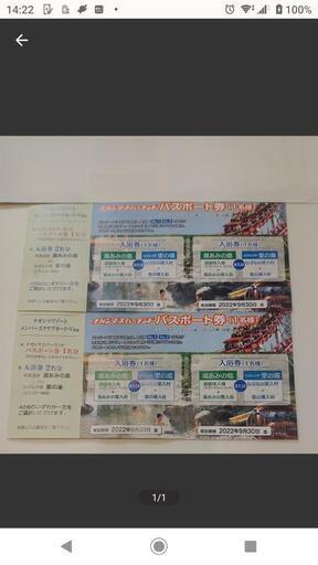 ナガシマスパーランド パスポート券 2枚 通常価格11000円