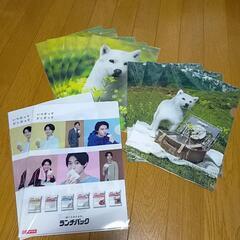 【非売品、新品】ファイル10枚