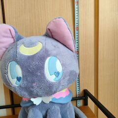 各種ぬいぐるみ　の画像