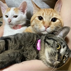 大切に育てて下さる方