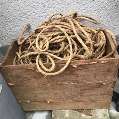 あら縄