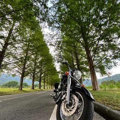 バイク友達欲しいです！