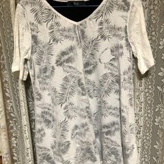 レディースTシャツサイズL5枚の画像