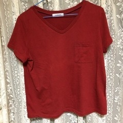 レディースTシャツサイズL5枚の画像