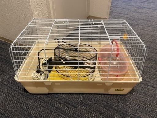 ゲージ／小動物