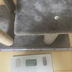 キャットタワー【決まりました】の画像