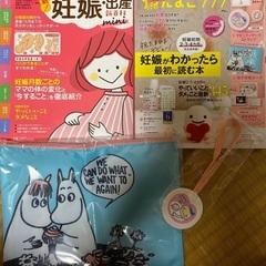 【美品】2冊セット 最新!初めての妊娠・出産新百科mini＆初め...