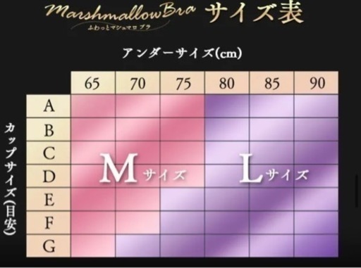 値下げ！！【新品未使用】ふわっとマシュマロブラ Lサイズ