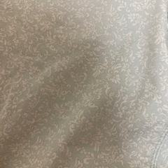 earth レギンスパンツ　中古品の画像