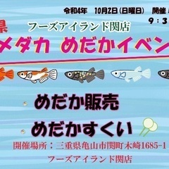 メダカ販売、メダカすくい