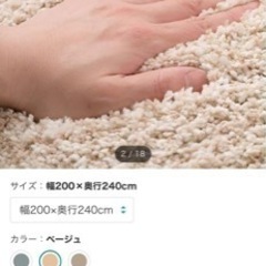 決定　ニトリ　絨毯　緑