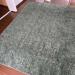 決定　ニトリ　絨毯　緑の画像