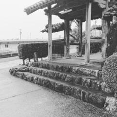 浜松市北区でお寺ヨガ！体を無心で動かせば、頭がすっきり。気持ちも...