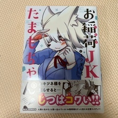 お稲荷JKたまもちゃん！　1〜3巻の画像