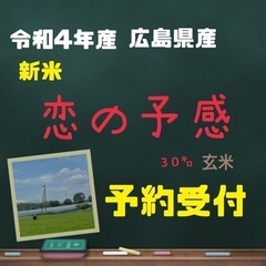 【一時中断中】🍚新米予約🌾令和4年産✨SDGs「恋の予感❣️」3...