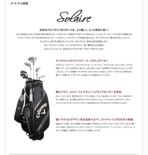 キャディバック新品