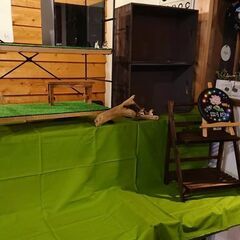 佐賀きみどりバーガー様にて高級メダカ掬い