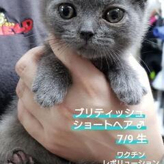 【募集停止します】たくさんのお問い合わせありがとうございました✨...