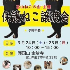 9月24日25日保護猫譲渡会in射水市