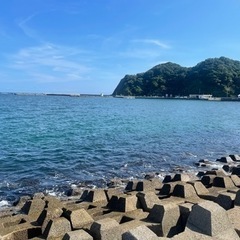 本日夕方から勝浦素人釣行