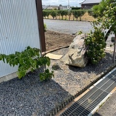 庭石　色相　黒調