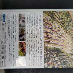 映画 DVD 眉山 ４００円の画像