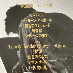 中古レコード　神田正輝の画像