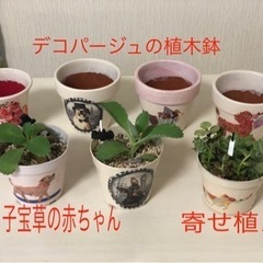 フリマ・9／25 東海市元浜公園