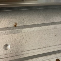 （決まりました）National  オーブントースター  トースターの画像