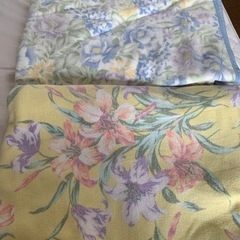 綿毛布　2枚セット