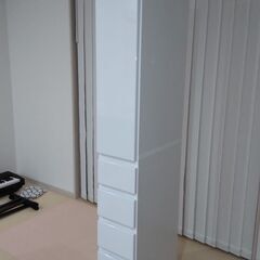 洗面所用キャビネット 