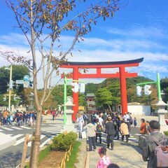 鎌倉市の除草作業/便利業はお任せください！