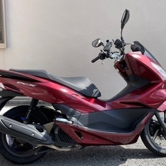 【決まりました】自賠責有り！！　pcx125cc jf56 2014年式の画像