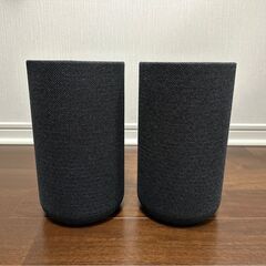 SONY SA-RS5の画像