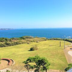 三浦市の除草作業/便利業はお任せください！