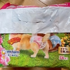 お取引き中　犬用オムツの画像