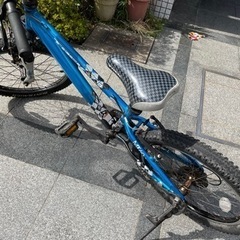 【受け渡し者決定】TREK MT60 20インチ　小学校　低〜高学年の画像