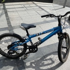 【受け渡し者決定】TREK MT60 20インチ　小学校　低〜高学年の画像