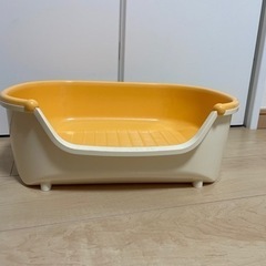 子猫 トイレの画像