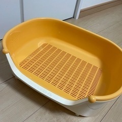子猫 トイレ