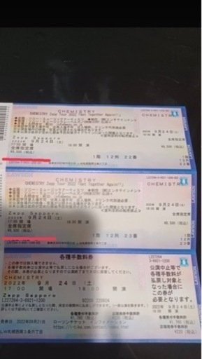 【急募】CHEMISTRY LIVEチケット2枚　9/24（土）