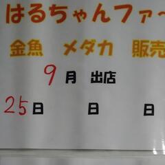 深谷市道の駅岡部　金魚　メダカ販売‼