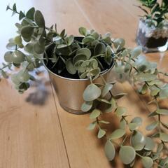 ニトリ　イケア　フェイクグリーン　観葉植物の画像