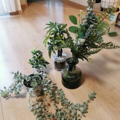ニトリ　イケア　フェイクグリーン　観葉植物