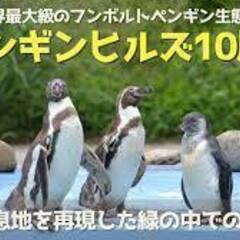 １０月　２日（日）【番外編】コアラとクオッカが人気の埼玉県こども...