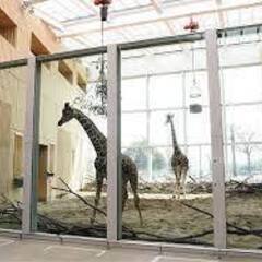 １０月　２日（日）【番外編】コアラとクオッカが人気の埼玉県こども動物自然公園と箭弓稲荷神社　東武東上線高坂駅　１２時３０分 - 東松山市