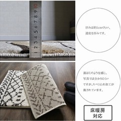 玄関マット　ウィルトン織り トルコ製 の画像