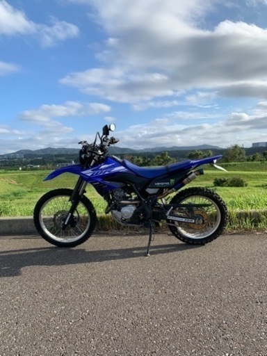 格安で売ります‼️ヤマハ wr155r   現金一括払いのみ　多少の値下げ交渉あり